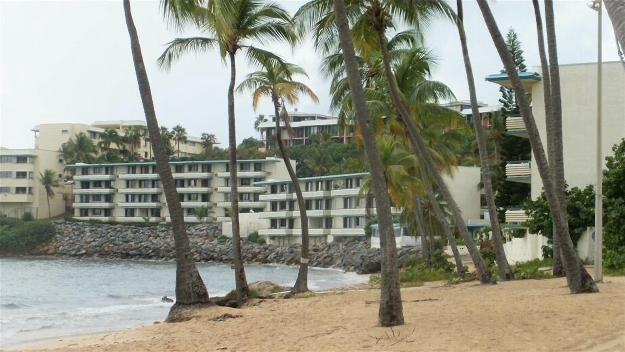 Photo of Others in Bolongo Bay