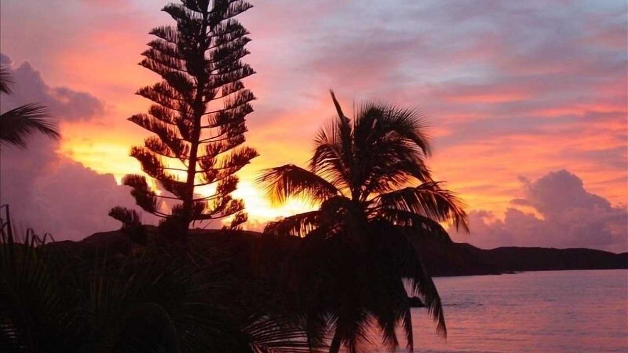 Photo of Others in Bolongo Bay