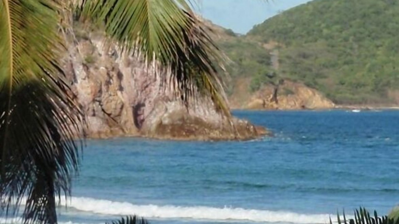 Photo of Others in Bolongo Bay