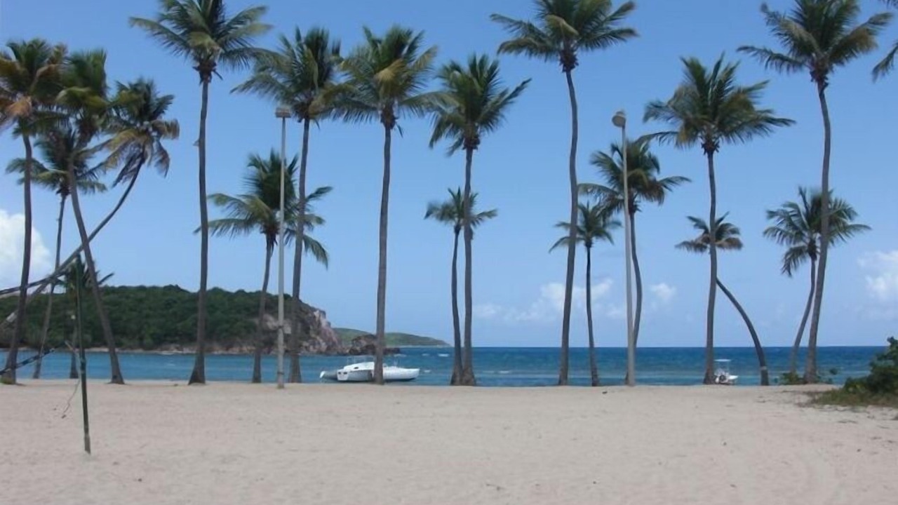 Photo of Others in Bolongo Bay