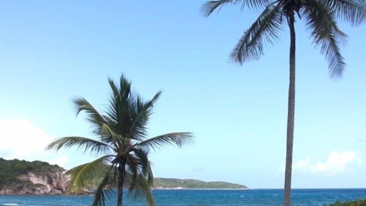 Photo of Others in Bolongo Bay