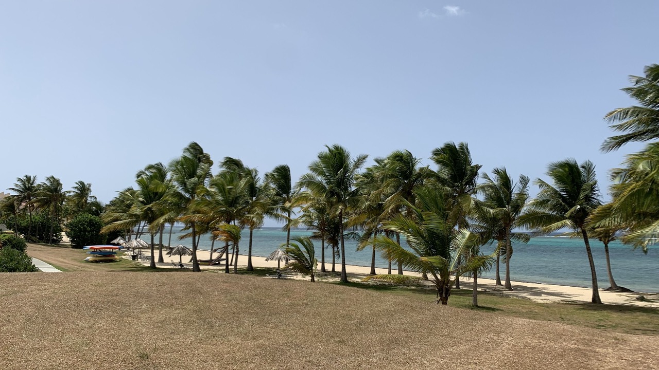 Photo of Others in Christiansted