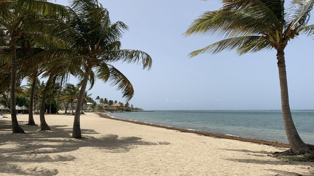 Photo of Others in Christiansted