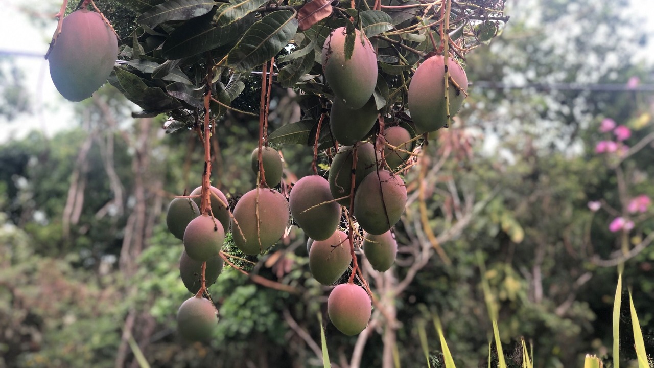 Photo of Outdoor in Estate Dorothea