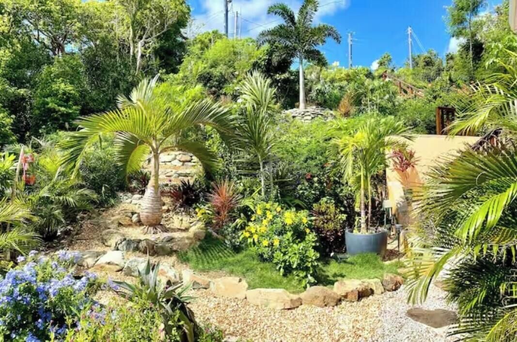 Photo of Outdoor in Estate Carolina