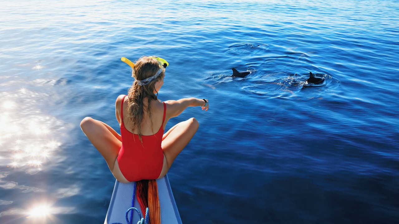 Photo of Others in Benner