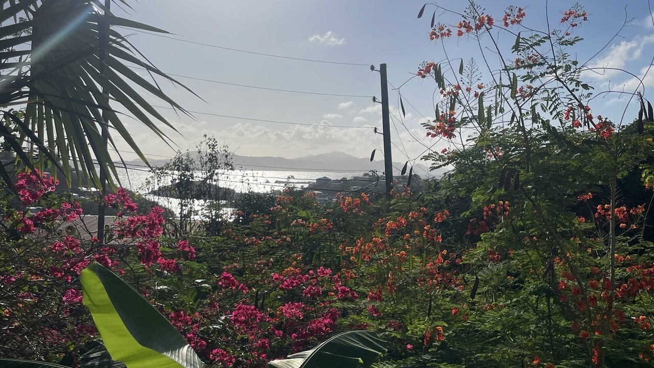 Photo of Outdoor in Estate Enighed