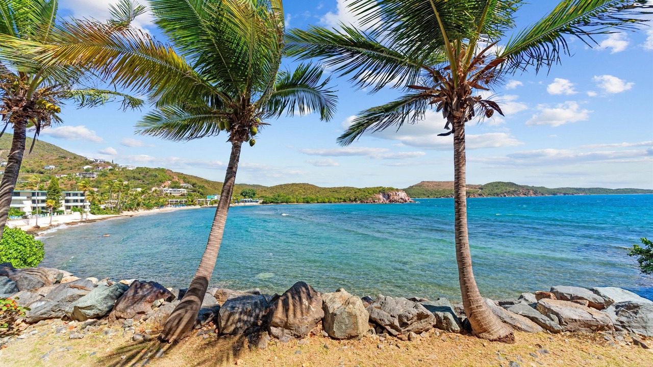 Photo of Others in Bolongo Bay