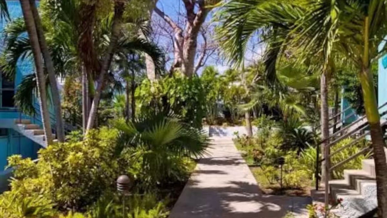 Photo of Outdoor in Bolongo Bay