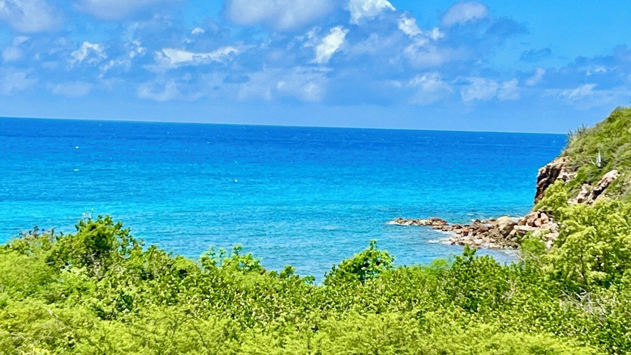 Photo of Others in Bolongo Bay