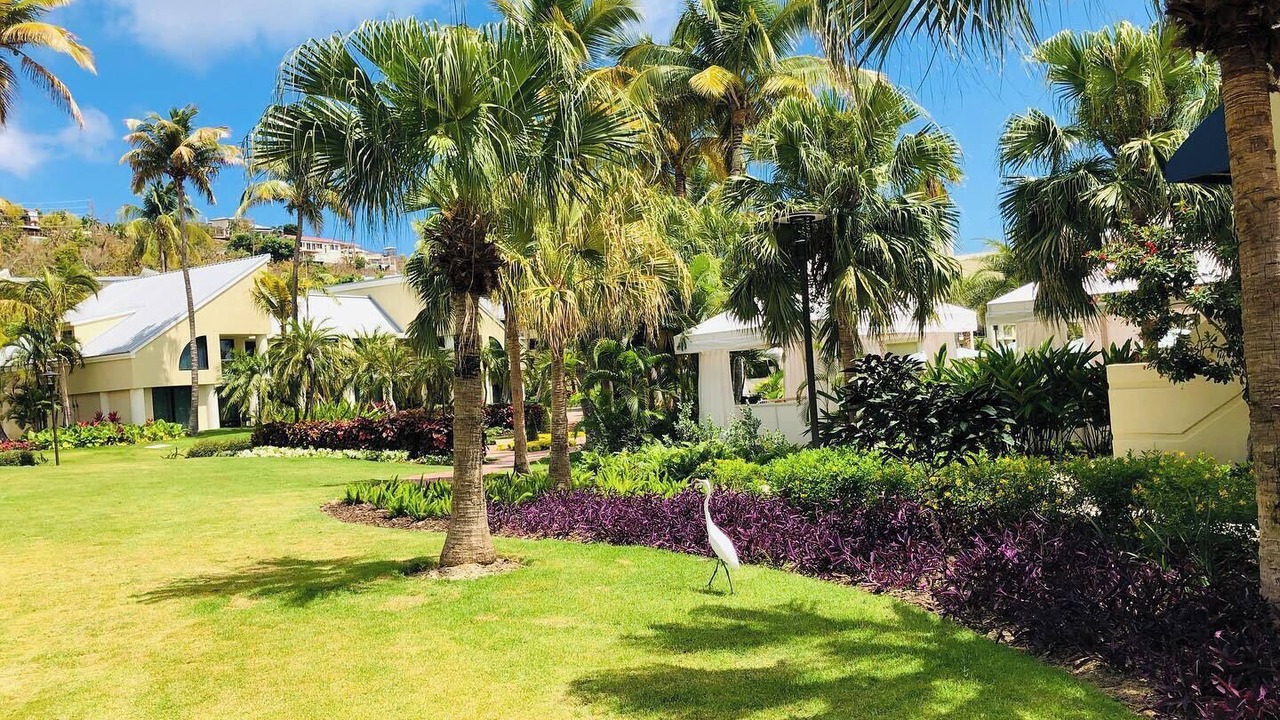Photo of Outdoor in Estate Chocolate Hole and Great Cruz Bay