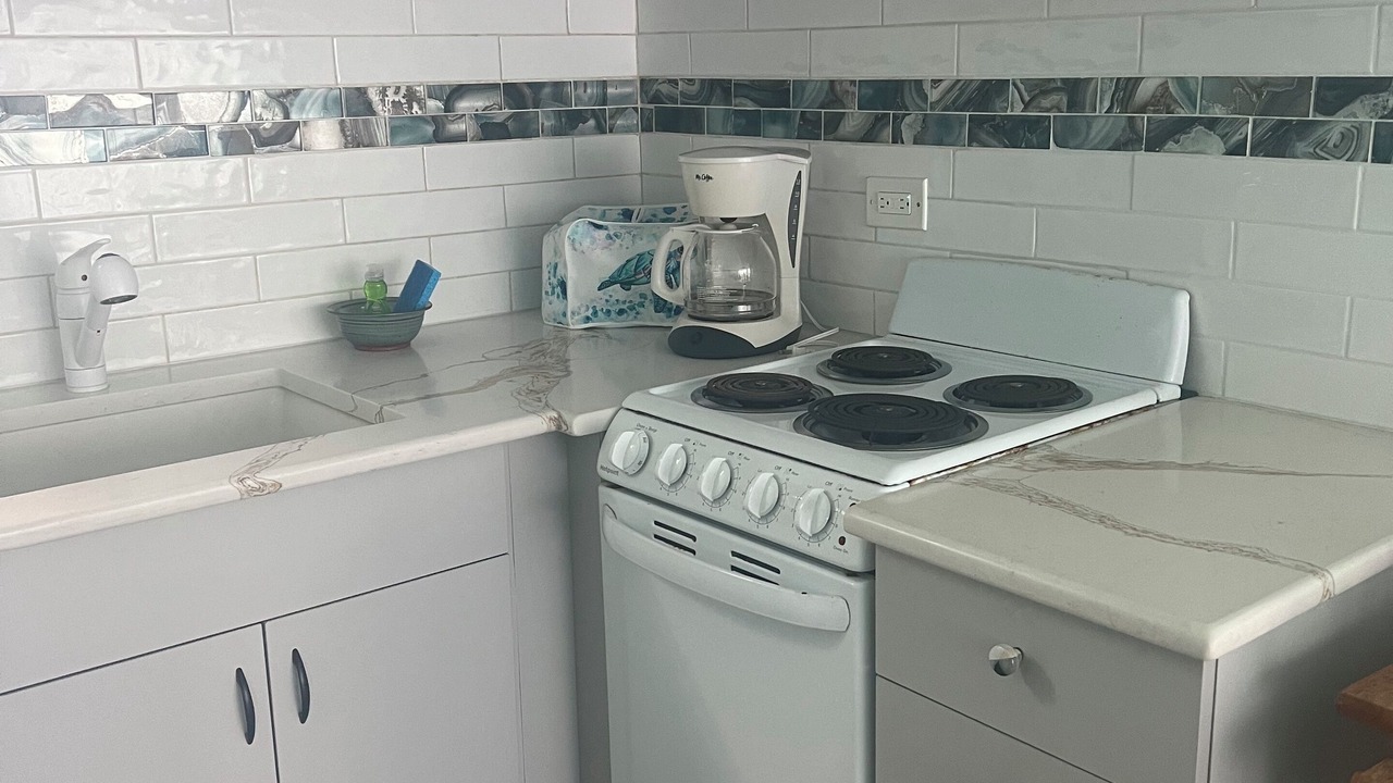 Photo of Kitchen in La Grande Princesse