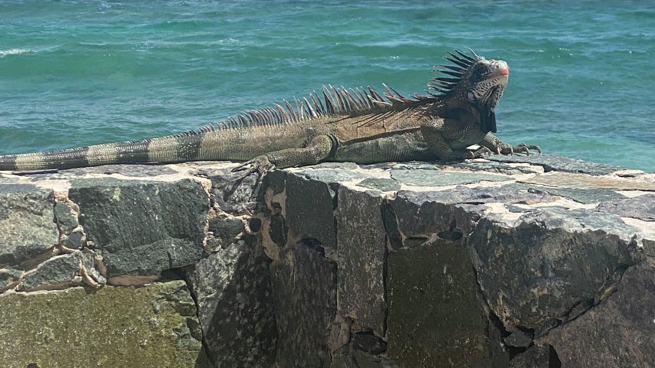 Photo of Others in Estate Smith Bay
