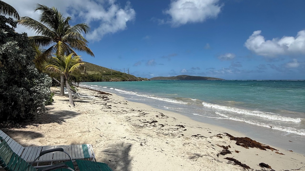 Photo of Others in Estate Teague Bay