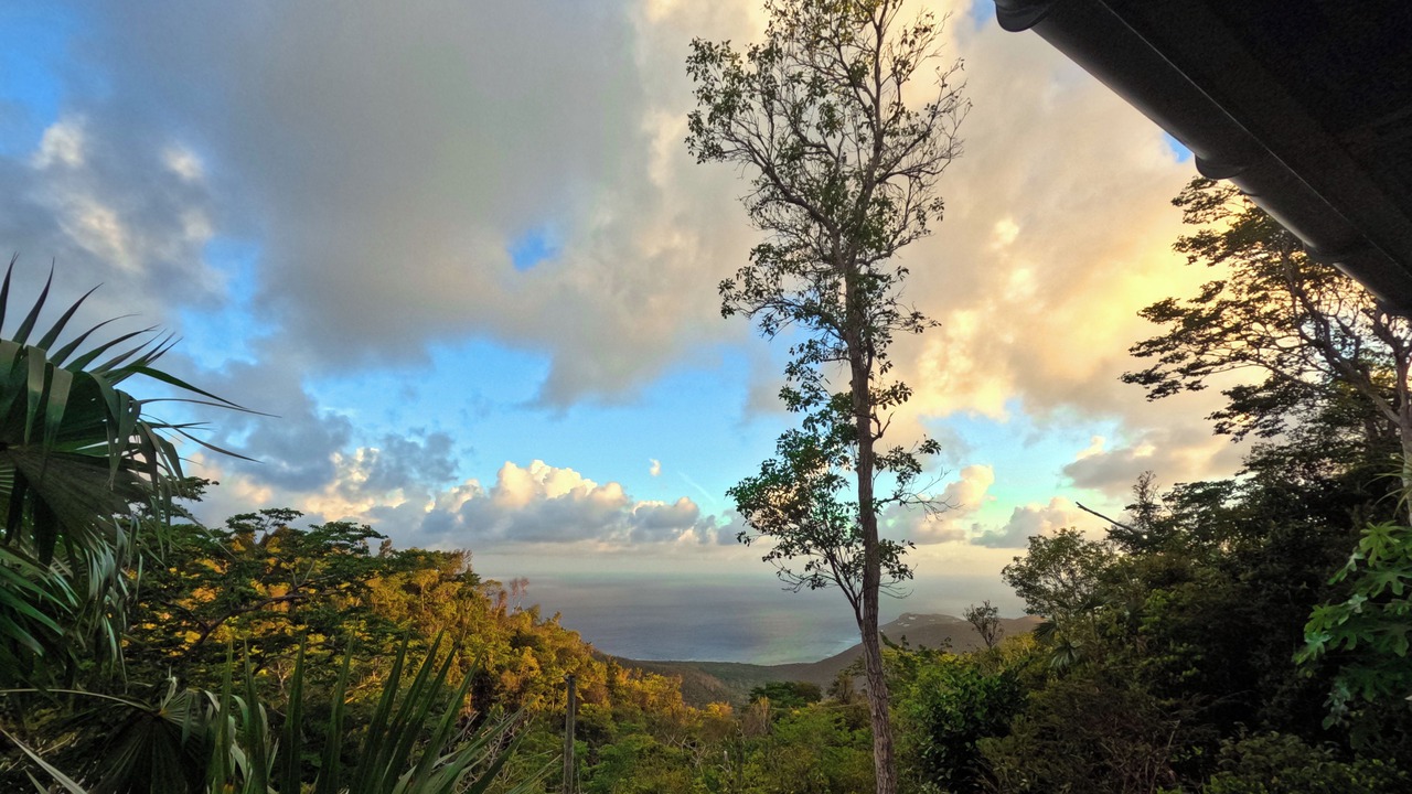 Photo of Others in St. John