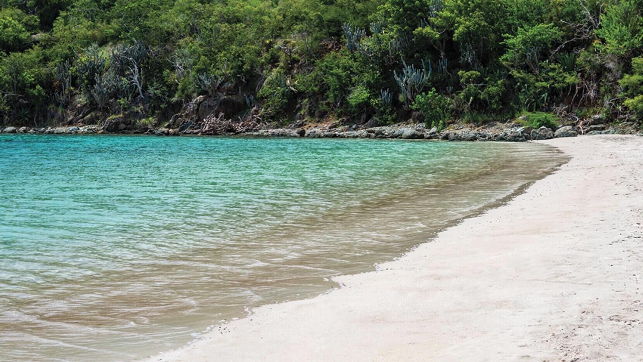 Photo of Others in Estate Chocolate Hole and Great Cruz Bay