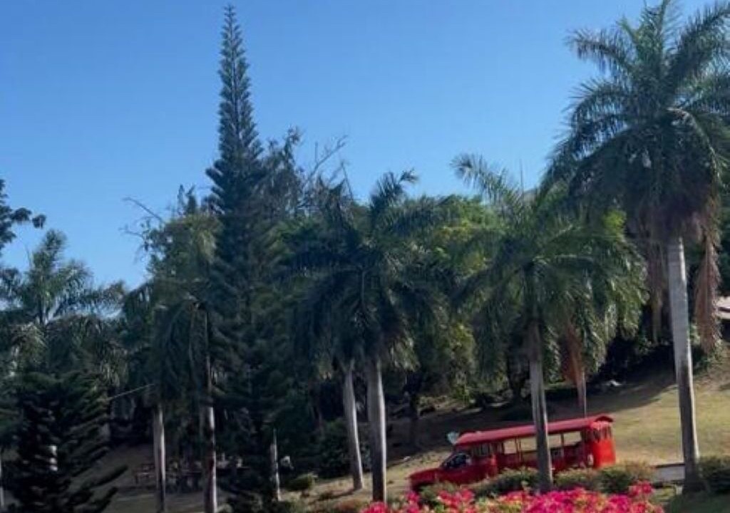 Photo of Outdoor in Estate Lower John Dunko
