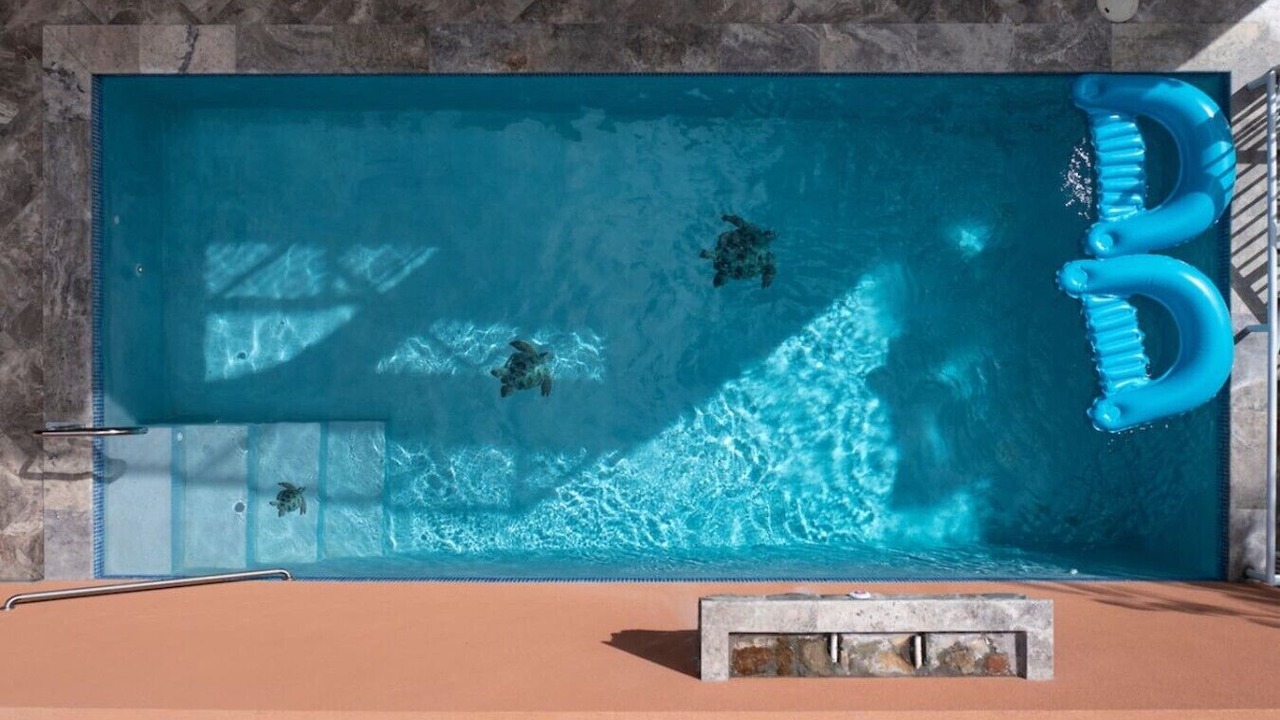 Photo of Outdoor in Estate Enighed