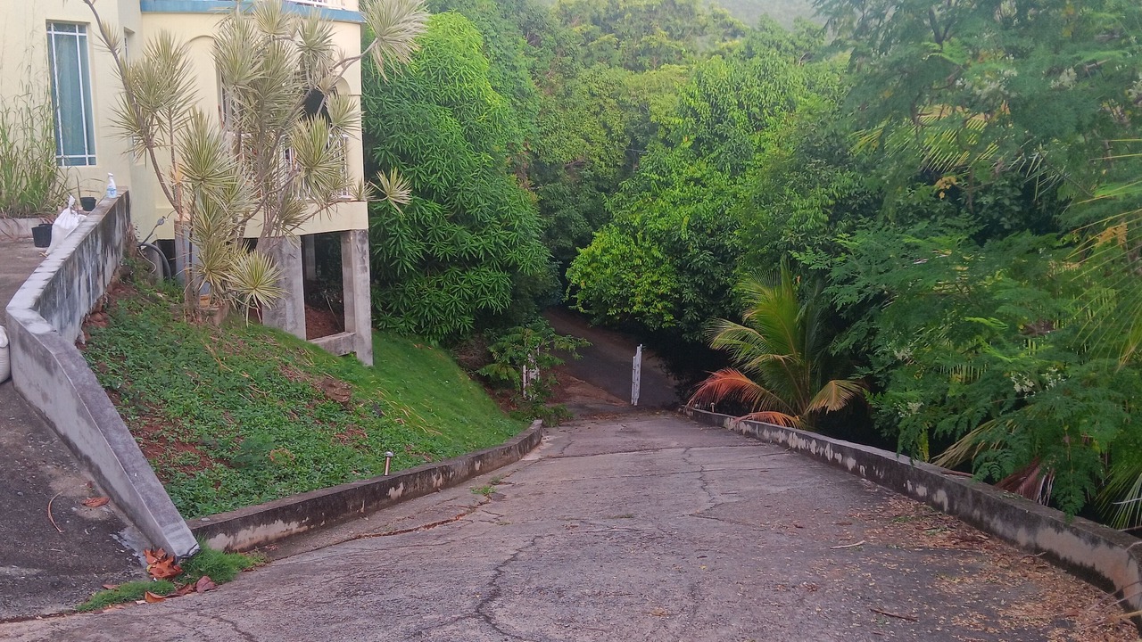 Photo of Outdoor in Flag Hill