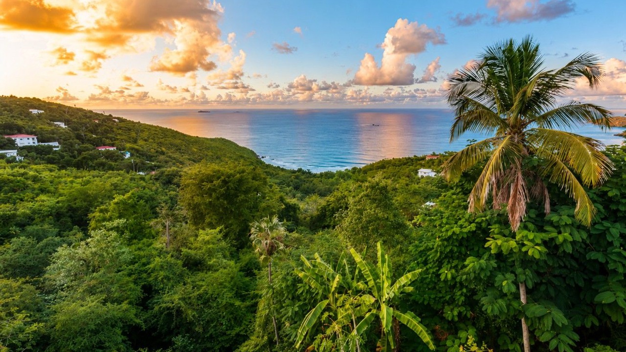 Photo of Others in Estate Caret Bay
