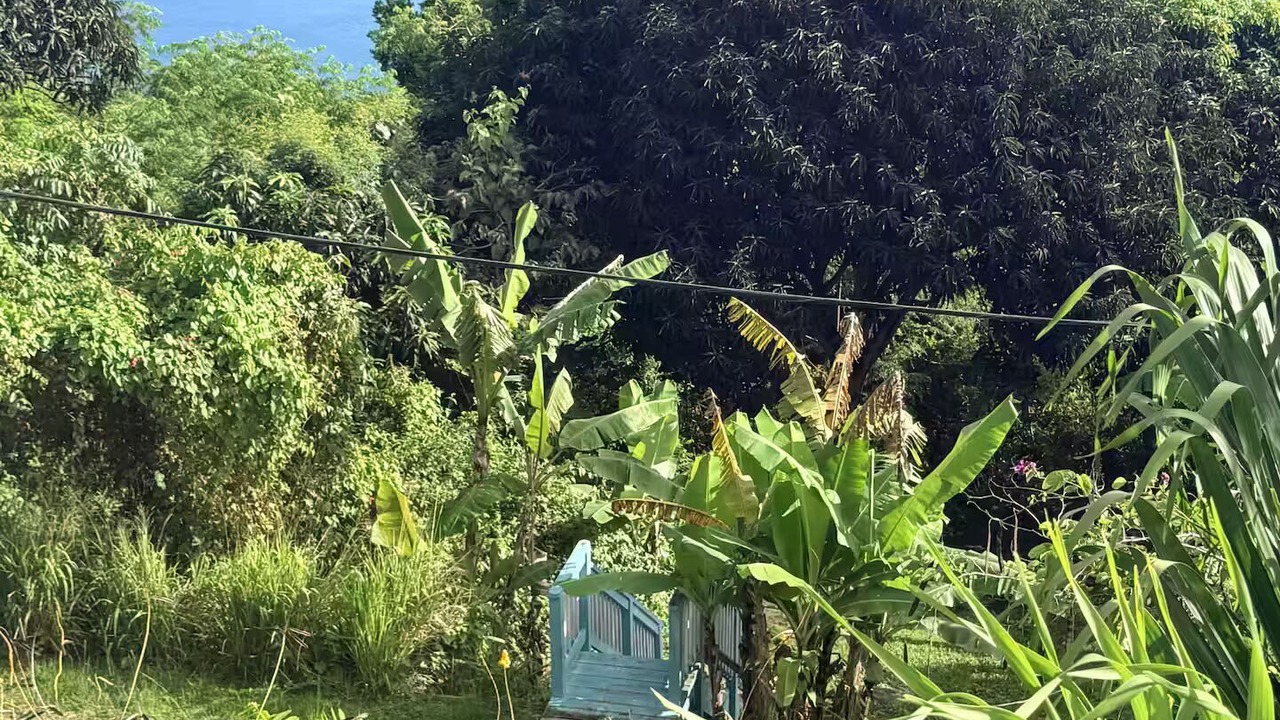 Photo of Outdoor in Estate Neltjeberg
