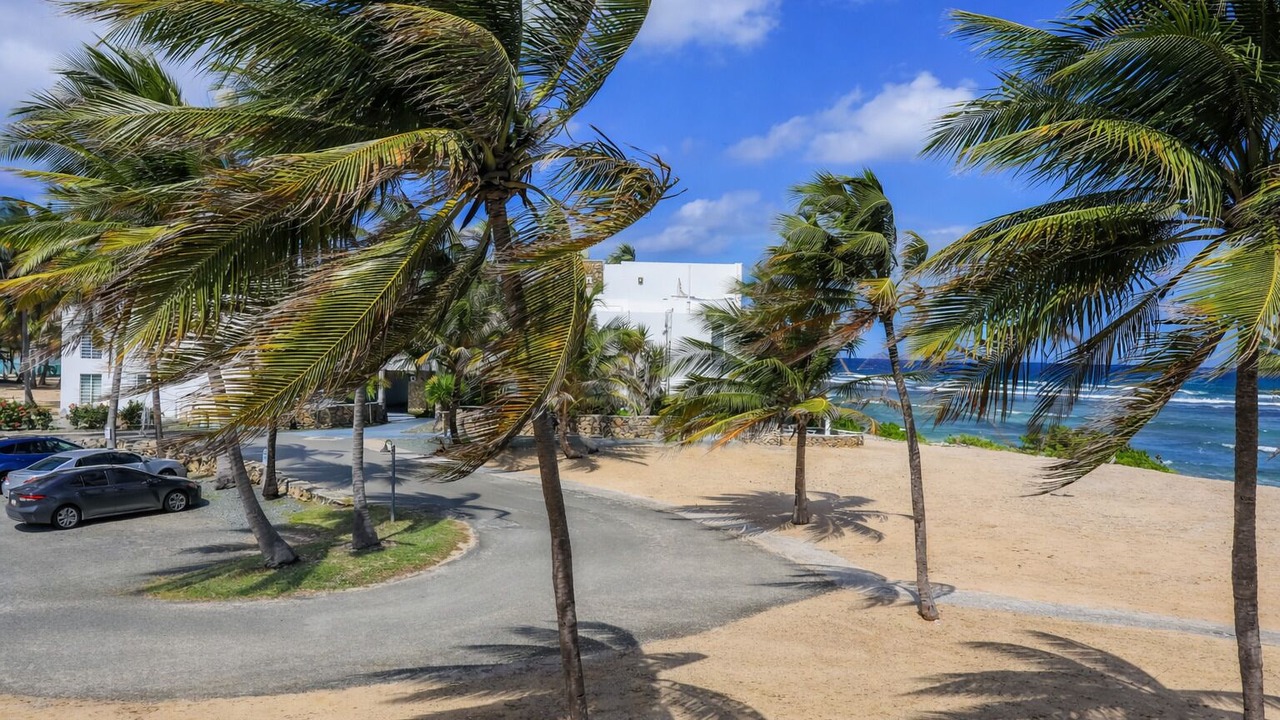 Photo of Outdoor in Estate Constitution Hill
