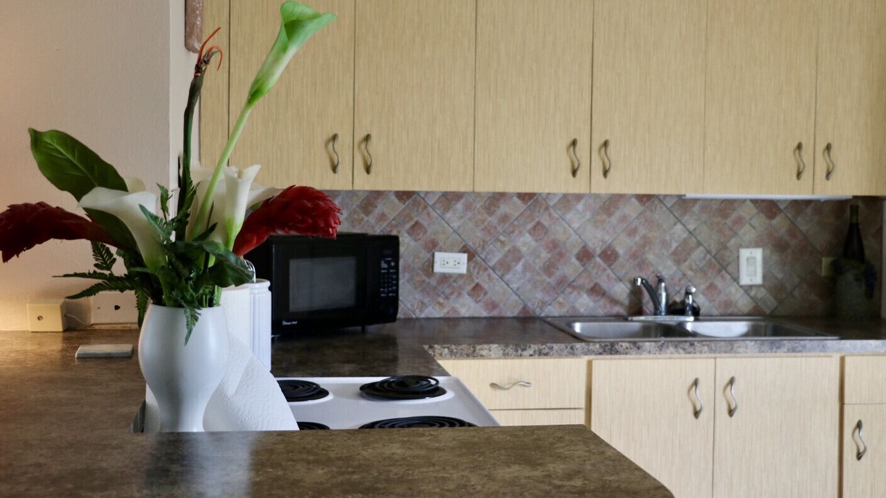 Photo of Kitchen in Estate Ruby