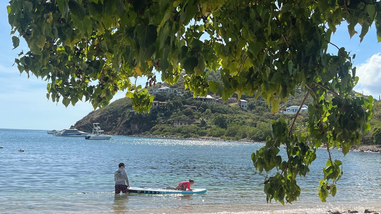 Photo of Others in Estate Chocolate Hole and Great Cruz Bay