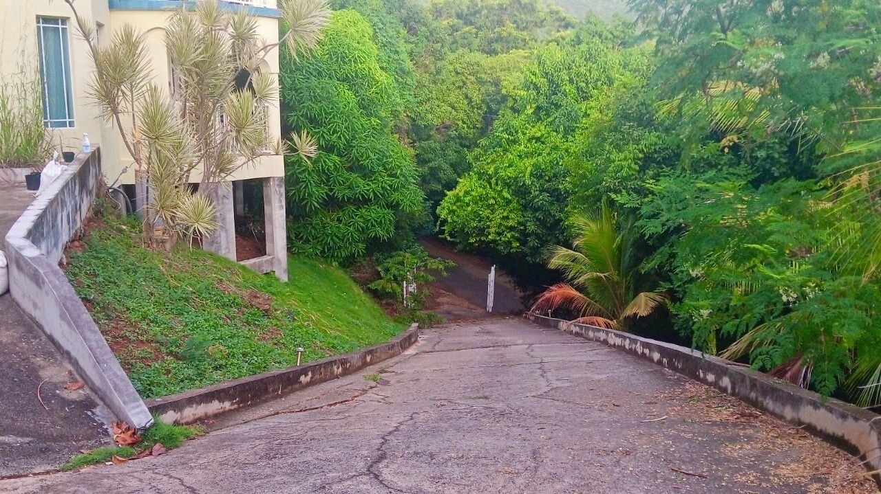 Photo of Others in Estate Fortuna