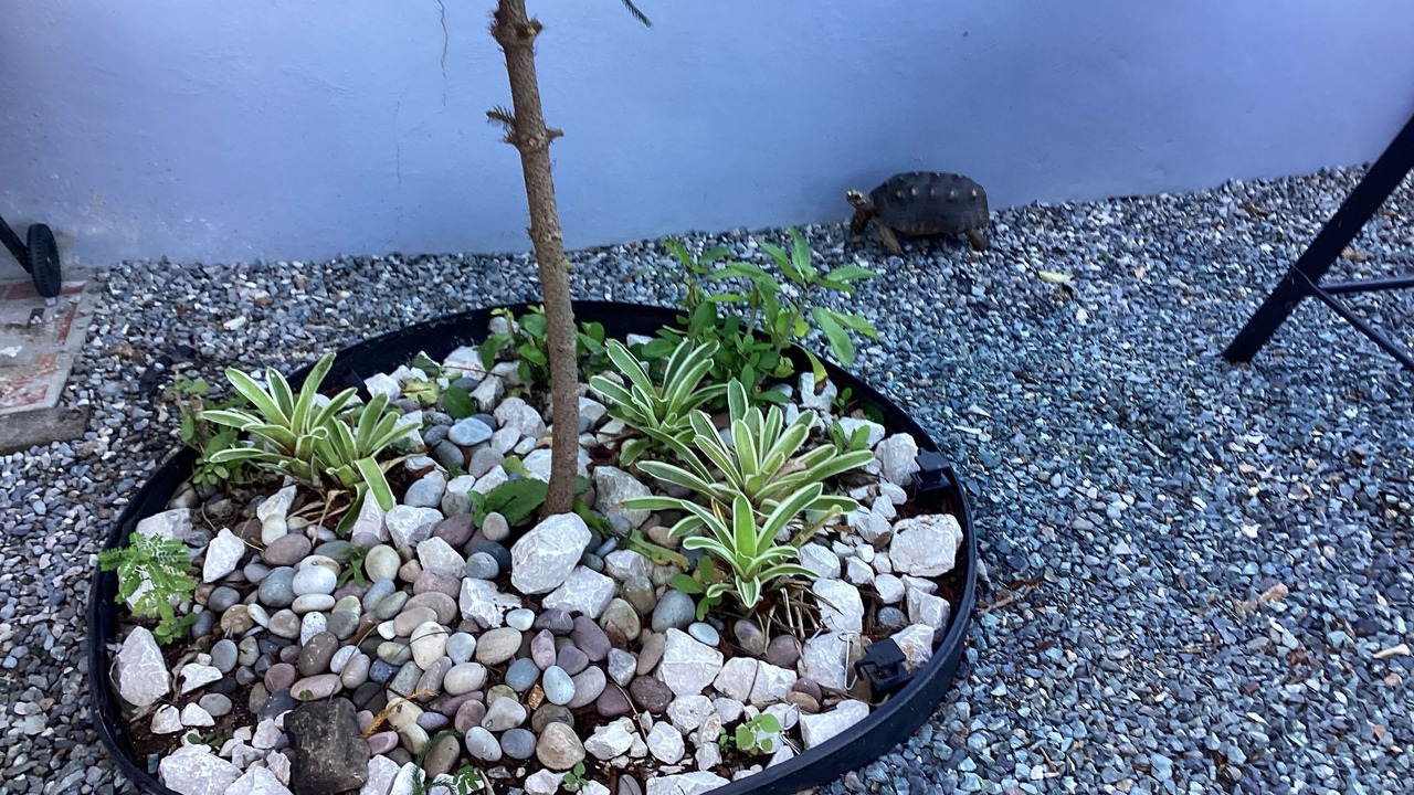 Photo of Outdoor in Estate Contant