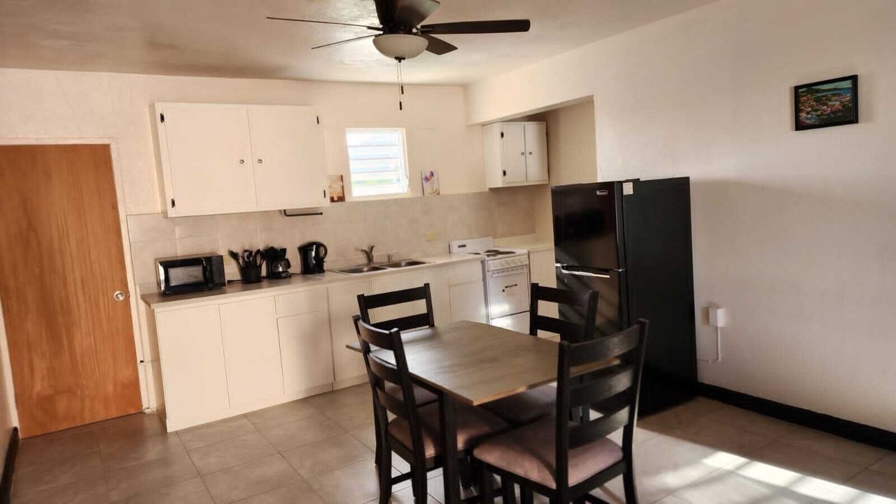Photo of Kitchen in Estate Lindbergh Bay
