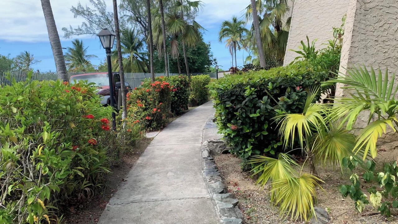 Photo of Outdoor in Christiansted