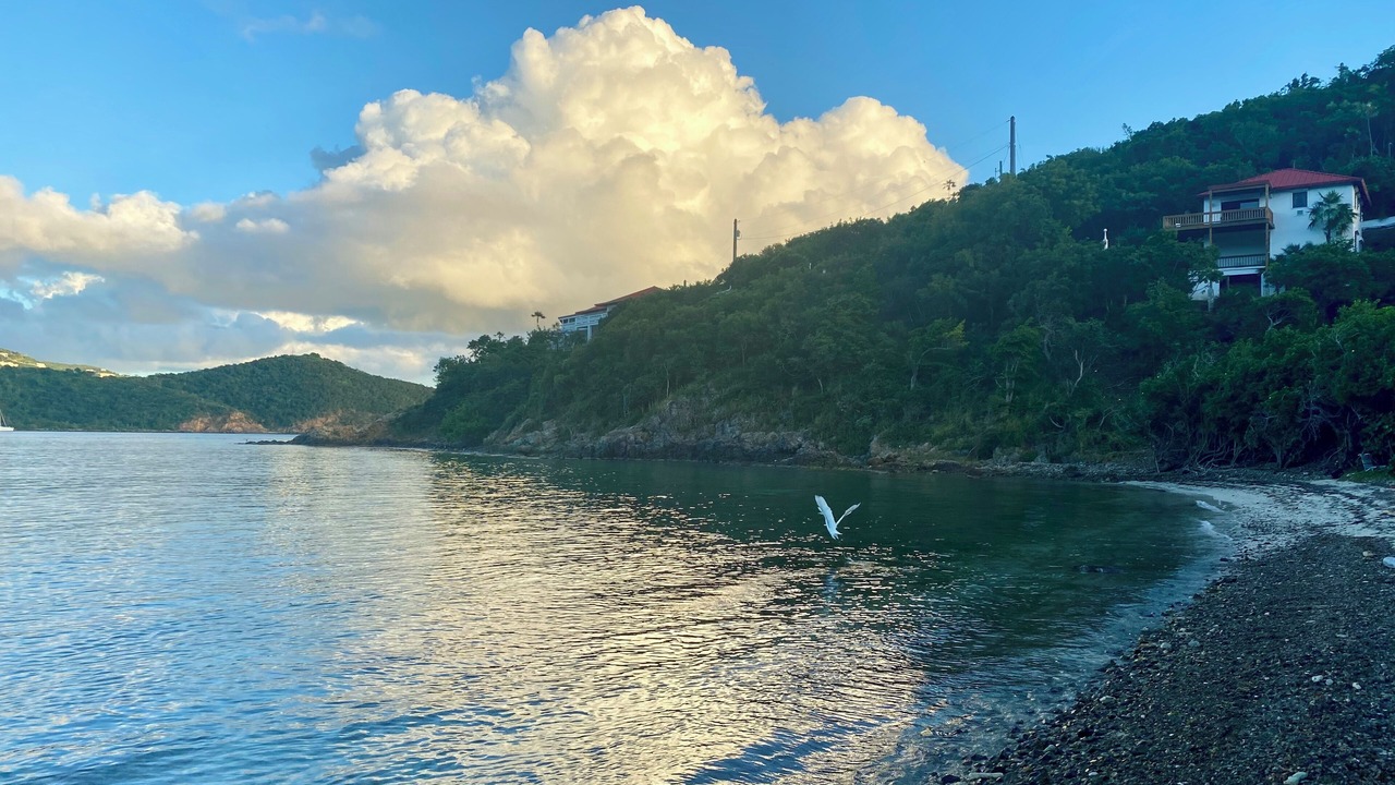 Photo of Others in Charlotte Amalie West