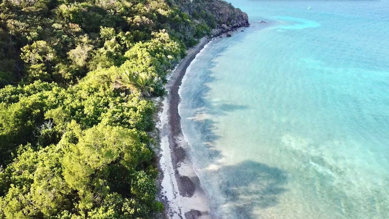 Photo of Others in Charlotte Amalie West