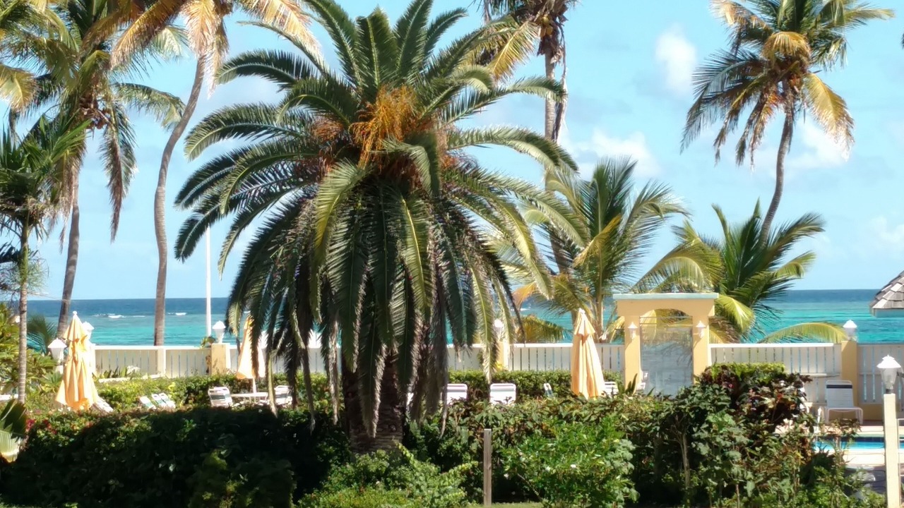 Photo of Outdoor in Estate Golden Rock