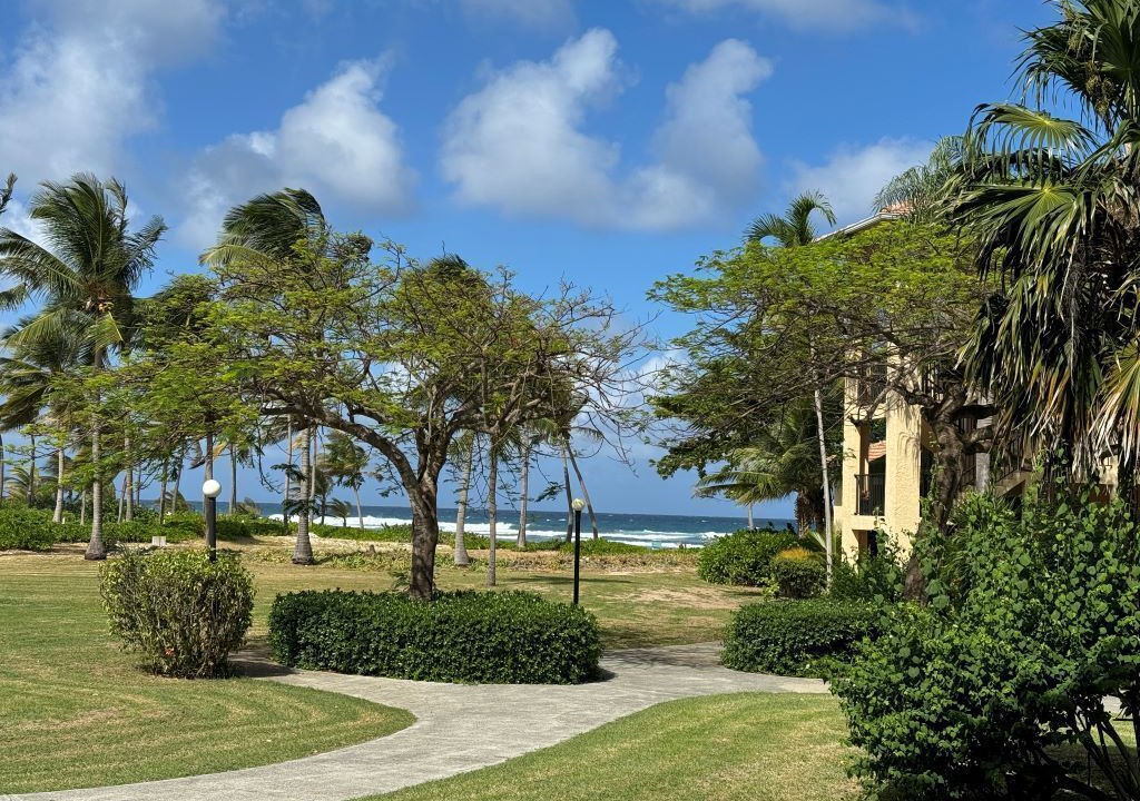 Photo of Outdoor in La Grande Princesse