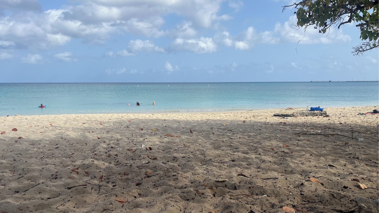 Photo of Others in Frederiksted Southeast
