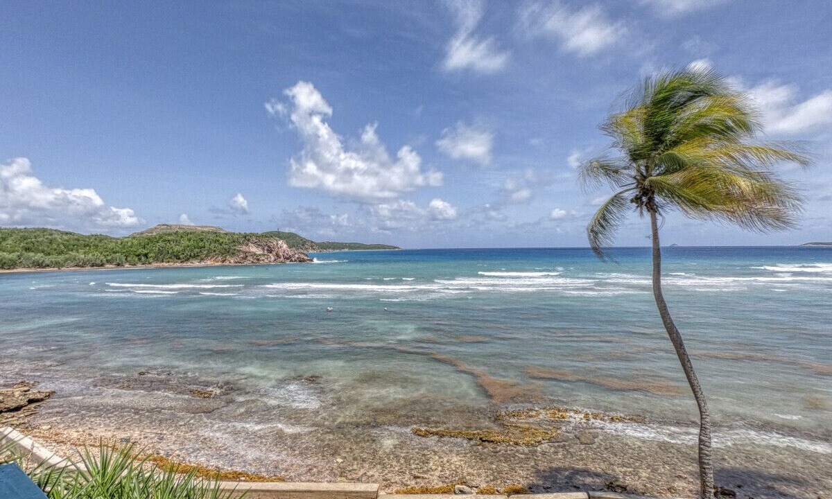 Photo of Others in Bolongo Bay