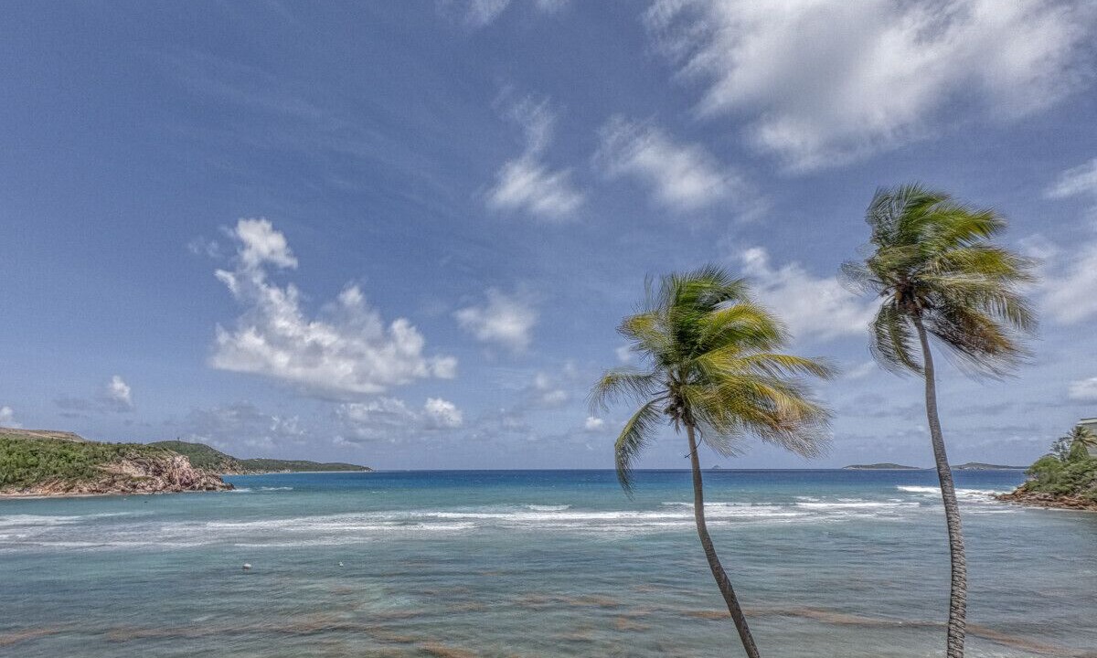 Photo of Others in Bolongo Bay