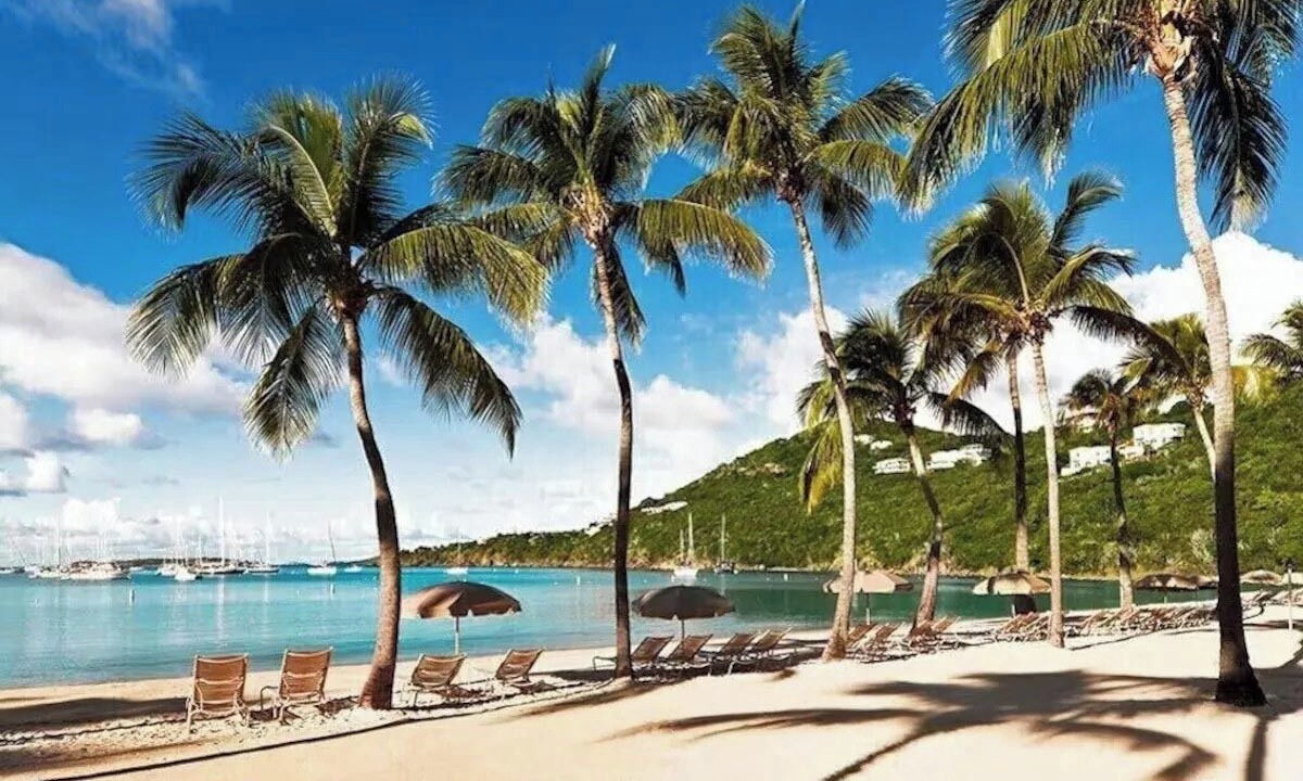 Photo of Others in Great Cruz Bay