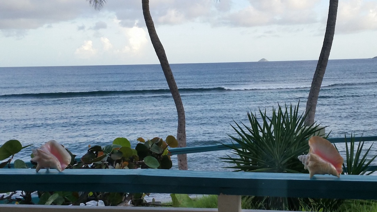 Photo of Others in Bolongo Bay