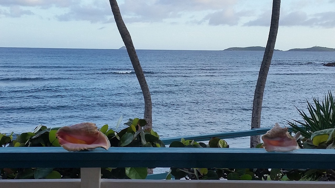 Photo of Others in Bolongo Bay