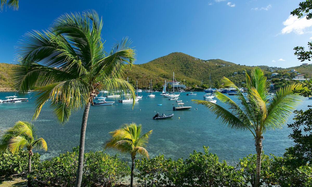 Photo of Others in Great Cruz Bay