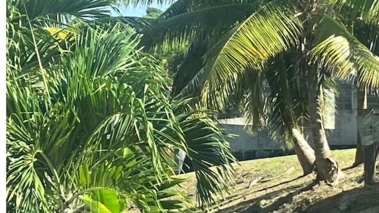 Photo of Outdoor in Christiansted