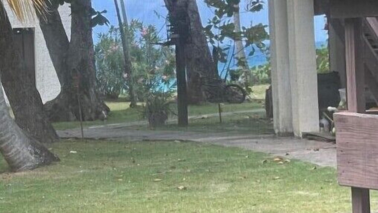 Photo of Outdoor in Estate Dorothea