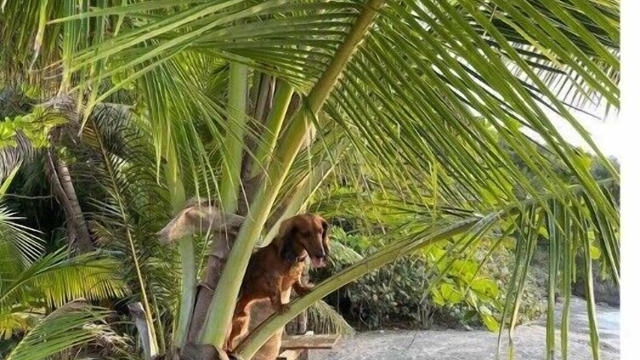 Photo of Outdoor in Estate Dorothea
