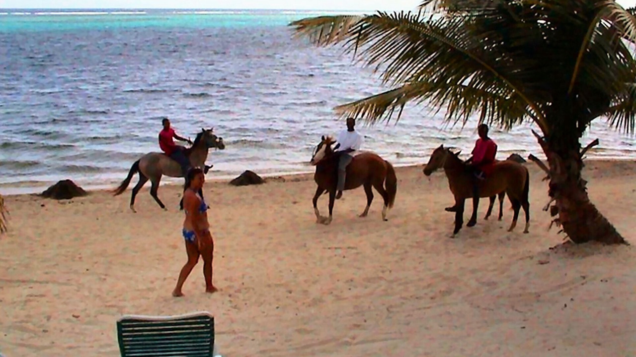 Photo of Others in Estate Golden Rock