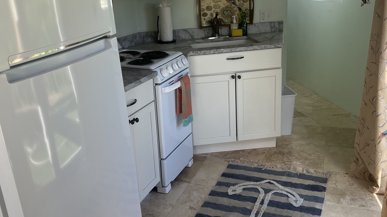 Photo of Kitchen in Estate Parcel of Gift and Regenback