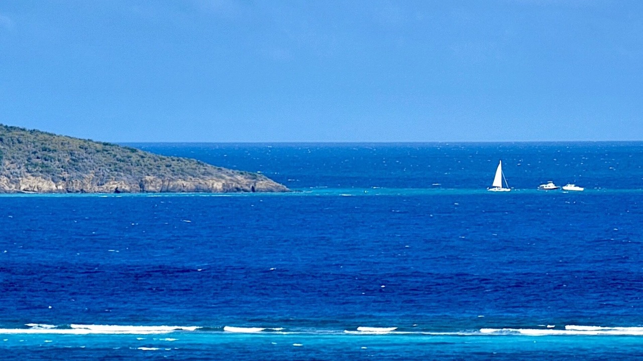 Photo of Others in Teagues Bay