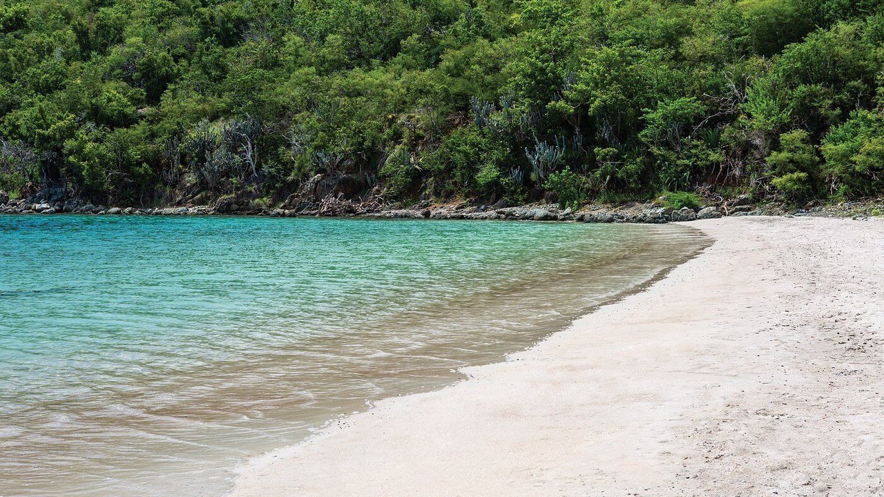 Photo of Others in Great Cruz Bay